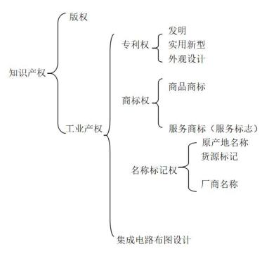 知识产权保护工作_知识产权保护工作开展情况_知识产权保护工作要点